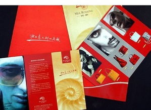 广告公司的VIS企业形象识别设计——塑造品牌视觉灵魂